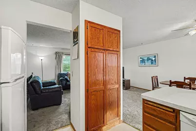 10216 Erskin Street NE, Circle Pines, MN 55014 - Photo 16