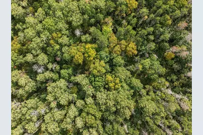 Lot D Sandbar Lane, Merrifield, MN 56465 - Photo 8