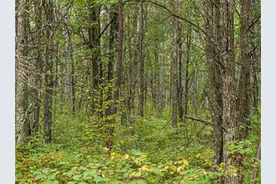 Lot D Sandbar Lane, Merrifield, MN 56465 - Photo 2