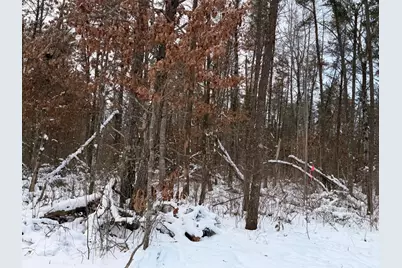 Lot D Sandbar Lane, Merrifield, MN 56465 - Photo 20