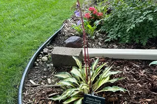 3588 Tiffany Ln, Shoreview, MN 55126 - Photo 24