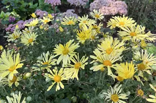 1715 Hillcrest Rd, Saint Cloud, MN 56303 - Photo 22