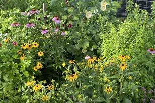 1715 Hillcrest Rd, Saint Cloud, MN 56303 - Photo 26