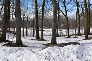 42810 Co Hwy 26, Rochert, MN 56578 - Photo 18