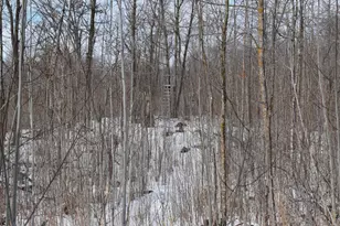 42810 Co Hwy 26, Rochert, MN 56578 - Photo 20