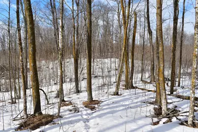 42810 County Highway 26, Rochert, MN 56578 - Photo 24