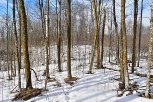 42810 Co Hwy 26, Rochert, MN 56578 - Photo 24