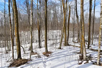 42810 County Highway 26, Rochert, MN 56578 - Photo 24