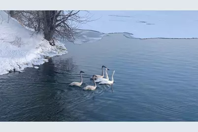 2684 Cherry Lane Court NE, Alexandria, MN 56308 - Photo 30