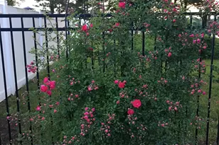 19740 70th Ave, Chippewa Falls, WI 54729 - Photo 42