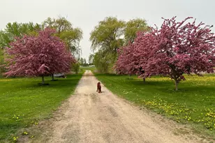 17672 County Road 14 NW, Big Lake, MN 55309 - Photo 40