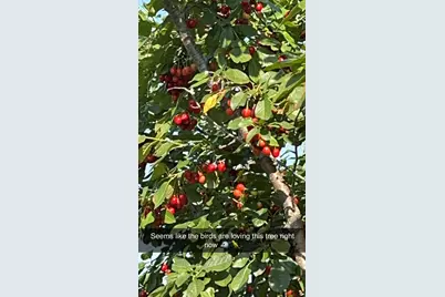 17672 County Road 14 NW, Big Lake, MN 55309 - Photo 54