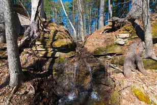 801 Pine Cone Trail, Marine on Saint Croix, MN 55047 - Photo 34