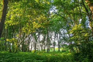 32592 Juniper Rd, Chatfield, MN 55923 - Photo 42