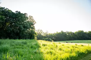 32592 Juniper Rd, Chatfield, MN 55923 - Photo 36