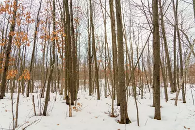 0 Fire Lane Road, Springbrook, WI 54875 - Photo 22