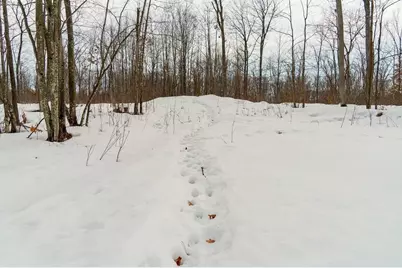 0 Fire Lane Road, Springbrook, WI 54875 - Photo 18