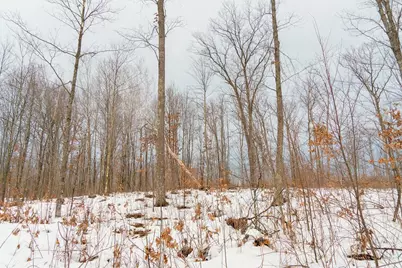 0 Fire Lane Road, Springbrook, WI 54875 - Photo 24