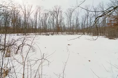 0 Fire Lane Road, Springbrook, WI 54875 - Photo 26