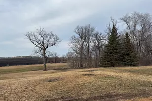 14680 County Rd 32, Mayer, MN 55360 - Photo 6