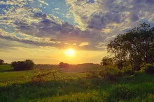 15151 304th Street, Spring Valley, MN 55975 - Photo 66