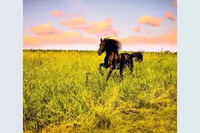 15151 304th Street, Spring Valley, MN 55975 - Photo 68