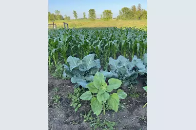 28297 Saint Croix Road, Pine City, MN 55063 - Photo 62