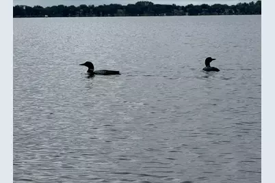 14224 Skyline Drive, Spicer, MN 56288 - Photo 10