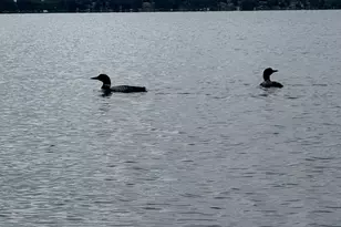 14224 Skyline Dr, Spicer, MN 56288 - Photo 10