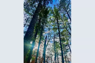 37336 Teal Drive, Sturgeon Lake, MN 55783 - Photo 2