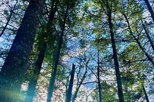 37336 Teal Dr, Sturgeon Lake, MN 55783 - Photo 2