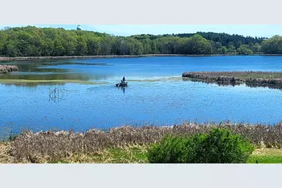 30339 Orchard Court, Center City, MN 55012 - Photo 10