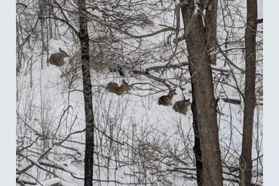 16420 Lake Ridge Drive, Maple Grove, MN 55311 - Photo 36