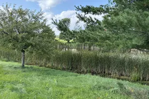 1289 Cattail Pl, New Richmond, WI 54017 - Photo 4