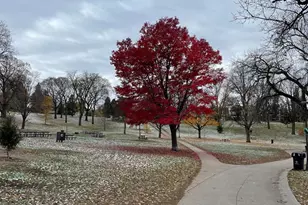 3108 Elliot Ave, Minneapolis, MN 55407 - Photo 18