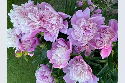 1769 Ross Avenue, Saint Paul, MN 55106 - Photo 28