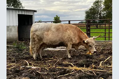 8020 80th Street NW, Milan, MN 56262 - Photo 54