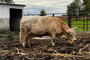 8020 80th St NW, Milan, MN 56262 - Photo 54