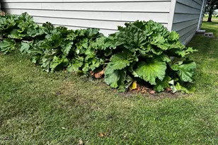 8020 80th St NW, Milan, MN 56262 - Photo 42