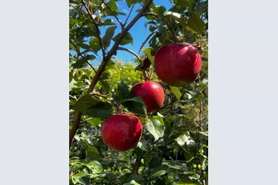 8020 80th Street NW, Milan, MN 56262 - Photo 62