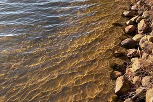 37595 Bonnie Lakes Rd, Crosslake, MN 56442 - Photo 60