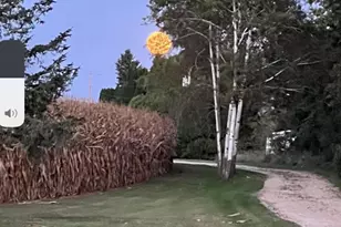 63627 170th Ave, Kellogg, MN 55945 - Photo 74