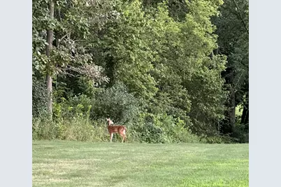 63627 170th Avenue, Kellogg, MN 55945 - Photo 4