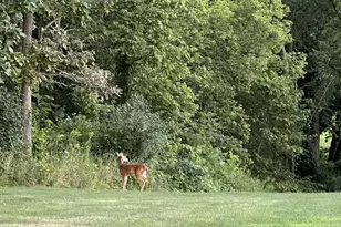 63627 170th Ave, Kellogg, MN 55945 - Photo 58