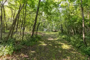 6317 Oak Meadow Ln NW, Rochester, MN 55901 - Photo 60