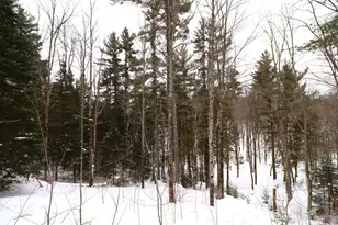 31715 Star Rte Rd, Bayfield, WI 54814 - Photo 42