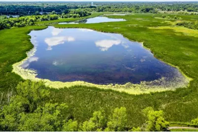 6712 Ewing Avenue N, Brooklyn Center, MN 55429 - Photo 44