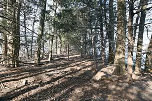 10200 Point Pleasant Rd, Chisago City, MN 55013 - Photo 16