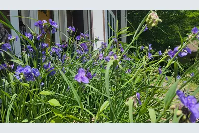 104 Forest Oaks Court, Winona, MN 55987 - Photo 82