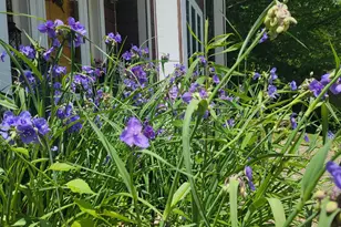 104 Forest Oaks Ct, Winona, MN 55987 - Photo 82